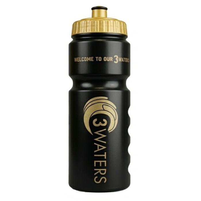 bidon sportowy z chwytem 3 WATERS 750ml czarno złoty